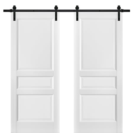 Sartodoors Double Barn Interior Door, 64" x 84", White LUCIA31DB-BEM-6484